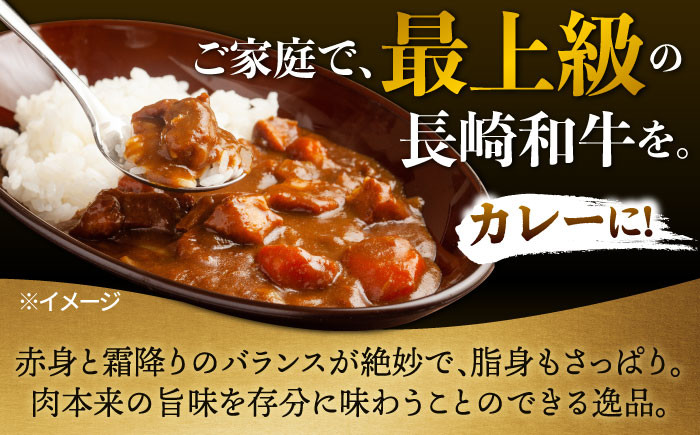 【日本一の和牛】牛肉 切り落とし 長崎和牛 計1.0kg