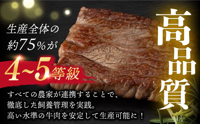 【12回定期便】【限定生産】ステーキ 長崎和牛 出島ばらいろ