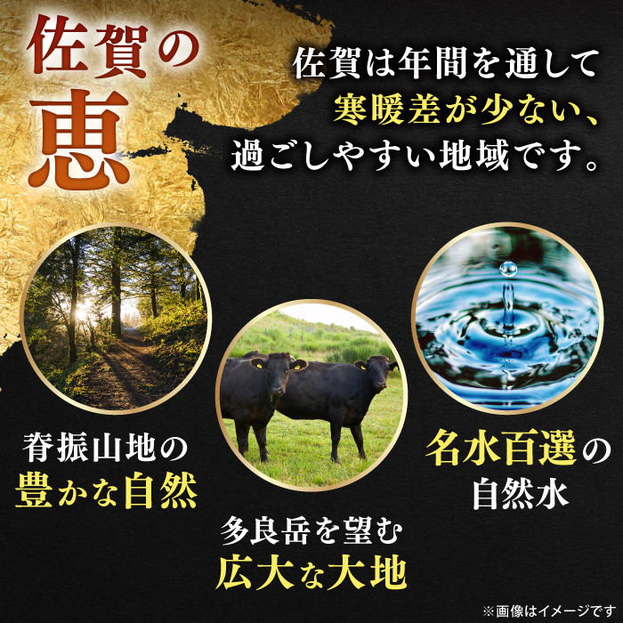 佐賀牛ローススライス 500ｇ（すき焼き・しゃぶしゃぶ用）佐賀牛 ロース スライス 鍋 佐賀 国産 冷凍 ロース肉