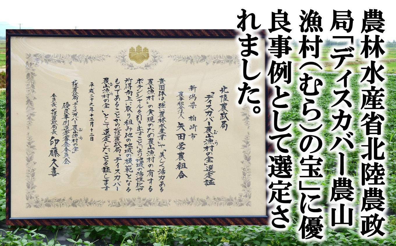 農林水産省にて、農山漁村活性化に係る取組の優良事例を選定し全国に発信する取組で、平成29年に北陸農政局より選定されました。