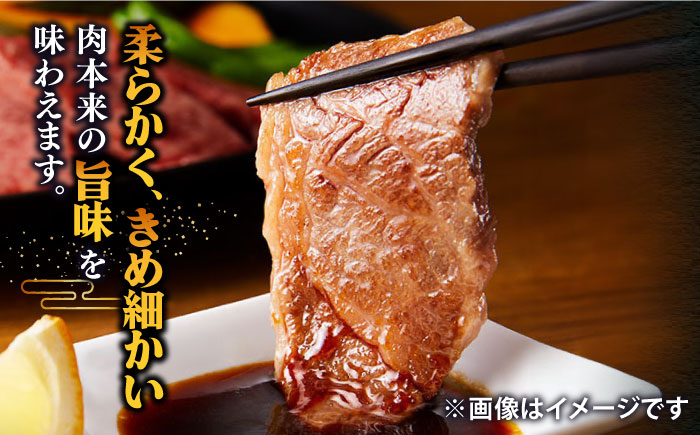 人気 和牛  壱岐牛 希少 柔らかい やわらかい 贈り物 ギフト  肉 黒毛和牛