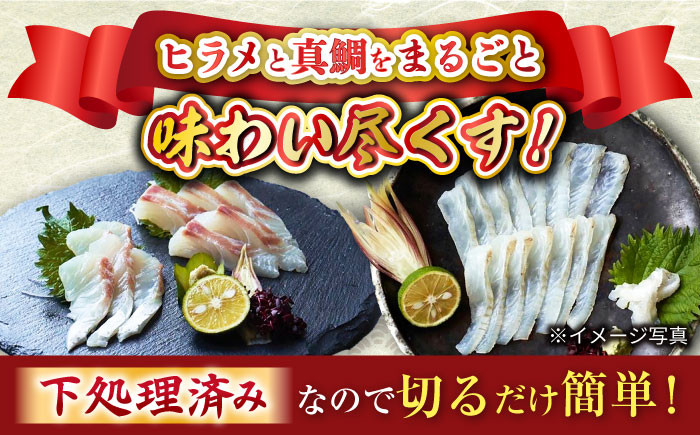 魚 ブロック ヒラメ ひらめ 鯛 タイ