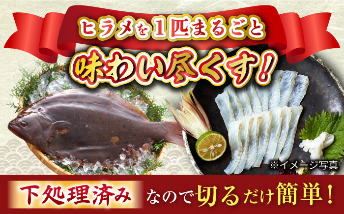 魚 刺身 ブロック ひらめ ヒラメ