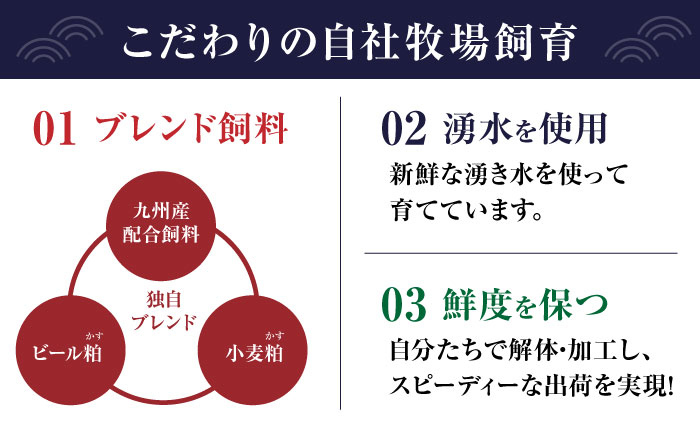 国産 馬刺し 赤身 赤身馬刺し 馬肉 桜肉 ヘルシー 専用タレ 小分け 冷凍 ギフト 贈答用 食べ比べ セット 熊本 山鹿