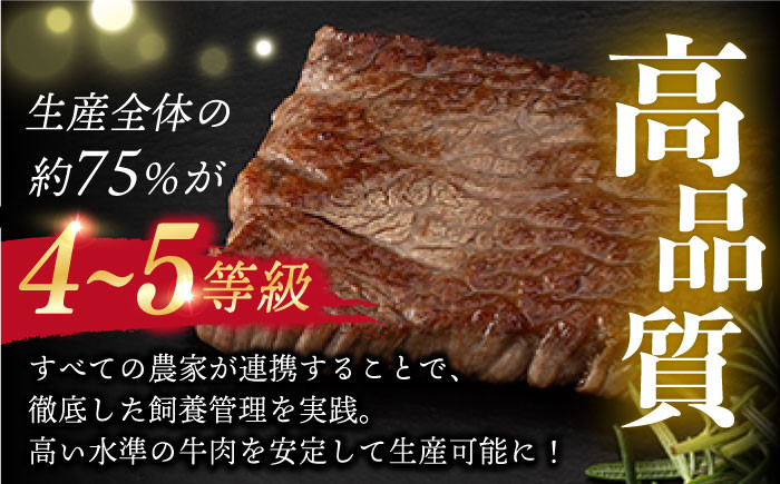 【限定生産】特選 焼肉 2種盛り 長崎和牛 出島ばらいろ ロース カルビ カタロース モモ