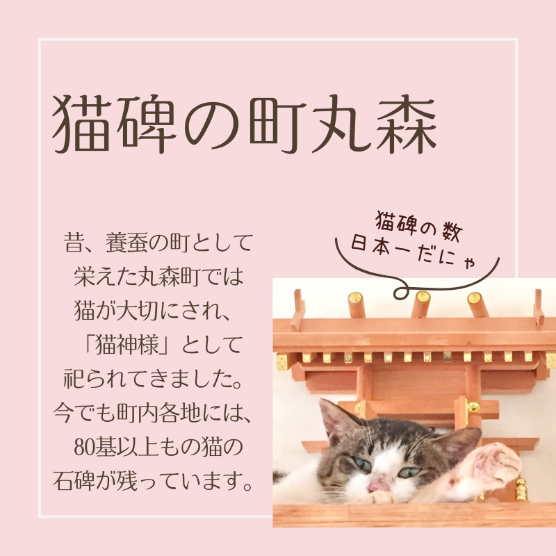 丸森産干し柿使用！猫神様の干し柿バターサンド12枚【06016】