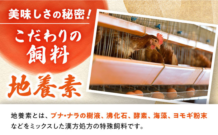 卵 卵 たまご 赤玉