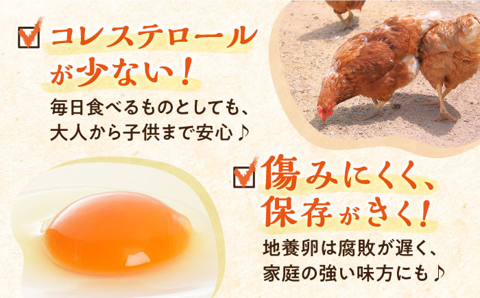卵 たまご 高級卵 赤玉