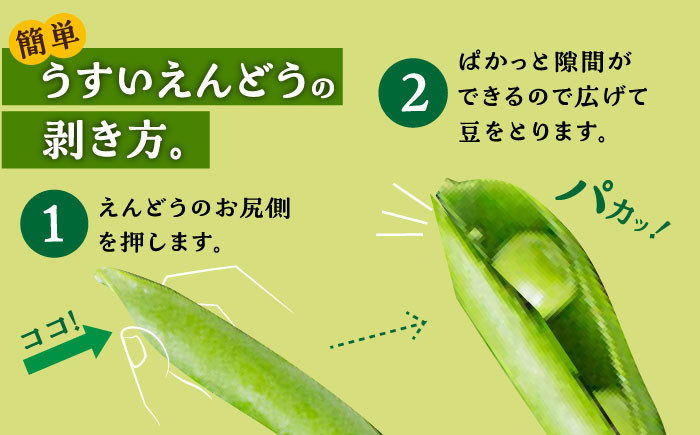 春 うすいえんどう　約2kg