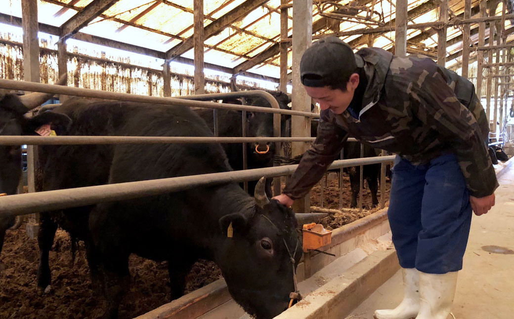 【5ヶ月定期便】A5等級 博多和牛特選ロースうす切り (500g×2パック)