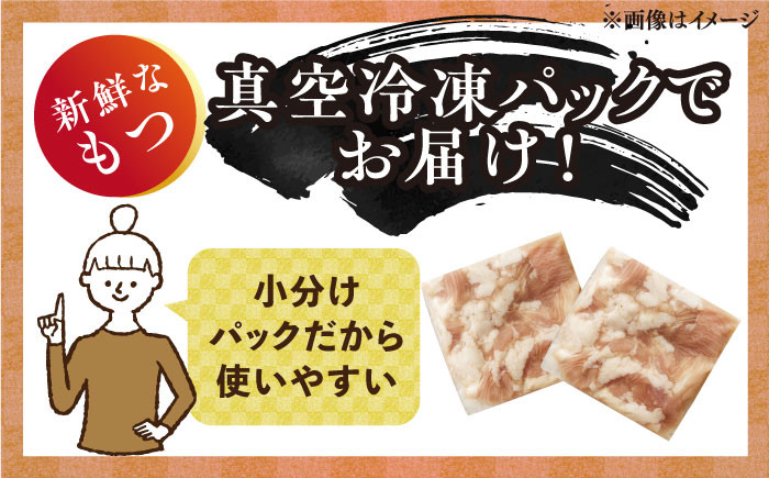 博多 もつなべ もつ鍋 モツ 本場 国産牛