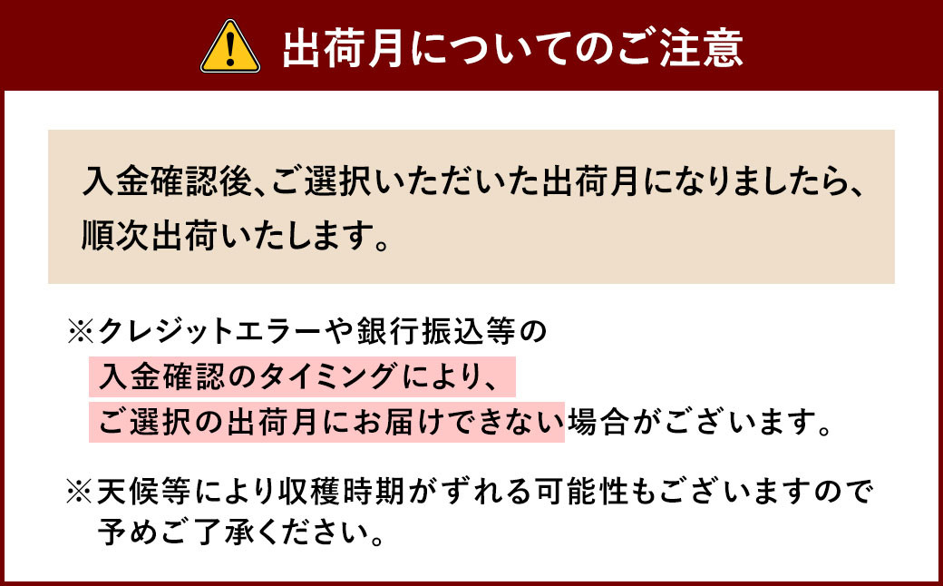 相良村産 ブルーベリー 1.2kg