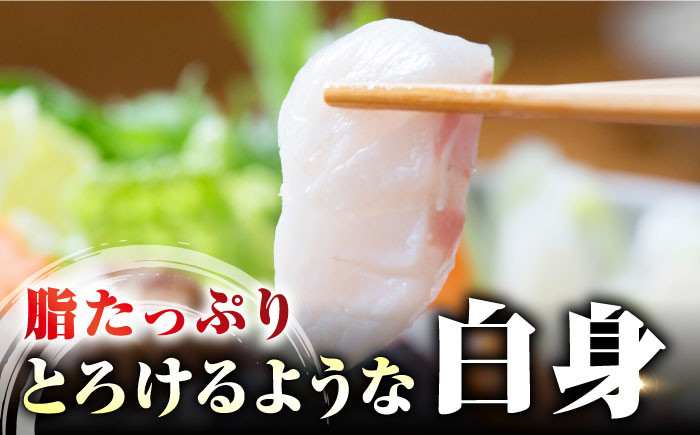 天然くえ 高級魚 アラ 魚 新鮮 下処理 クエ 希少 唐揚げ 鍋 白身 切り身 海鮮鍋 くえ鍋 クエ鍋 冷凍 対馬市 海鮮 魚介