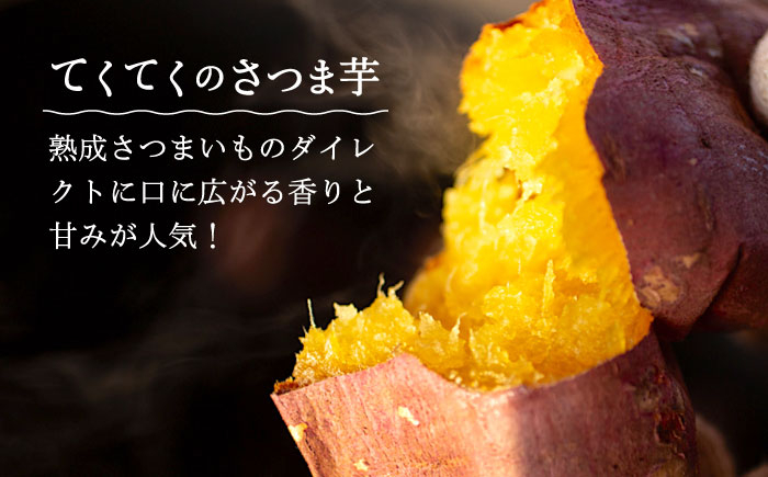 さつまいも 紅はるか 安納芋 芋 サツマイモ やきいも 大学芋 饅頭 焼酎 酒