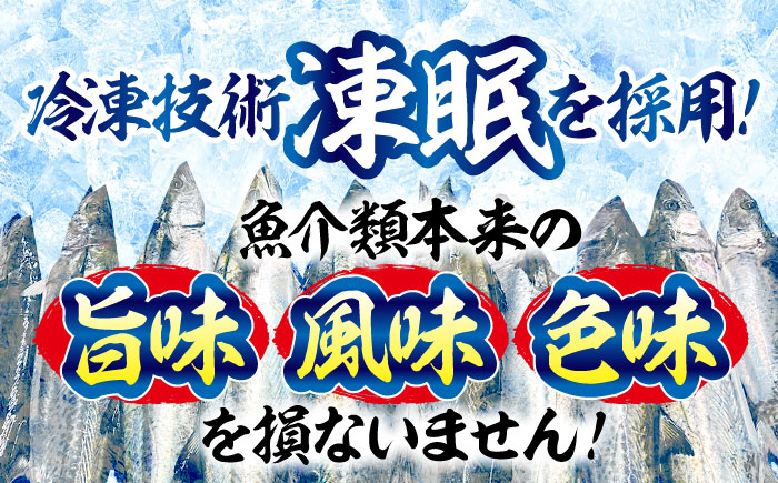 さわら サワラ 鰆 魚 さかな 魚介類 海産物 海鮮 さしみ 刺身 料理 和食