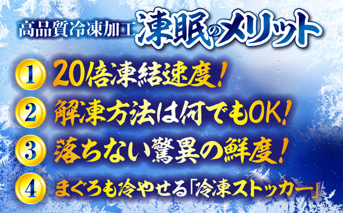 さわら サワラ 鰆 魚 さかな 魚介類 海産物 海鮮 さしみ 刺身 料理 和食