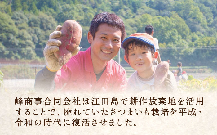 さつまいも 紅はるか 安納芋 芋 サツマイモ やきいも 大学芋 饅頭 焼酎 酒