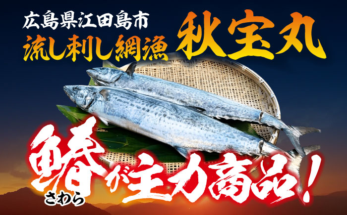 さわら サワラ 鰆 魚 さかな 魚介類 海産物 海鮮 さしみ 刺身 料理 和食