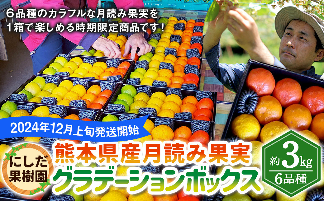 にしだ果樹園の熊本県産月読み果実グラデーションボックス(6品種)