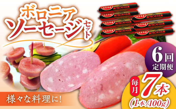 【6回定期便】宮地ハムのロングセラー ボロニアソーセージ 100g×7本 /宮地ハム [UBM012]