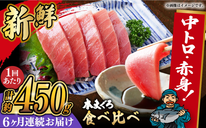 マグロ 鮪 中トロ 中とろ 赤身 刺身 海鮮丼 魚 海鮮 海産物 長崎 養殖