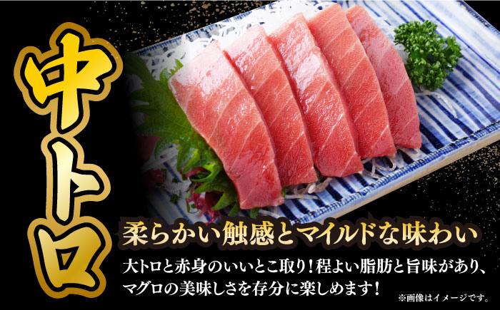 マグロ 鮪 中トロ 中とろ 赤身 刺身 海鮮丼 魚 海鮮 海産物 長崎 養殖