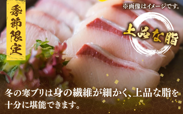 寒ブリ 寒ぶり 海鮮 魚介 海鮮丼 鰤 真空パック 煮つけ 照り焼き 下処理済み