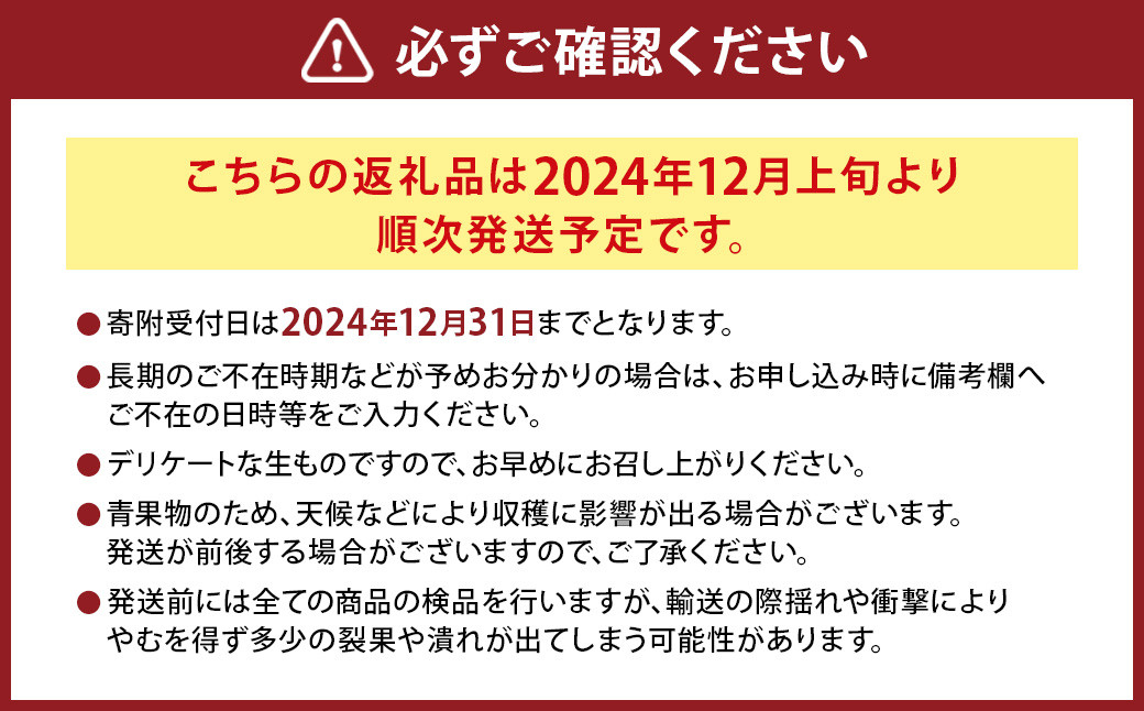 にしだ果樹園の熊本県産月読み果実グラデーションボックス(6品種)