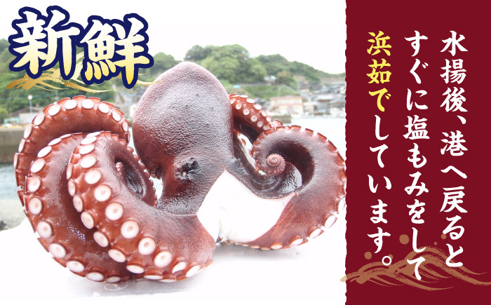 天然 タコ たこ 小分け