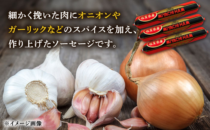 【6回定期便】宮地ハムのロングセラー ボロニアソーセージ 100g×7本 /宮地ハム [UBM012]