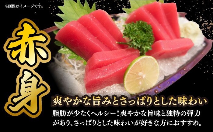 マグロ 鮪 中トロ 中とろ 赤身 刺身 海鮮丼 魚 海鮮 海産物 長崎 養殖