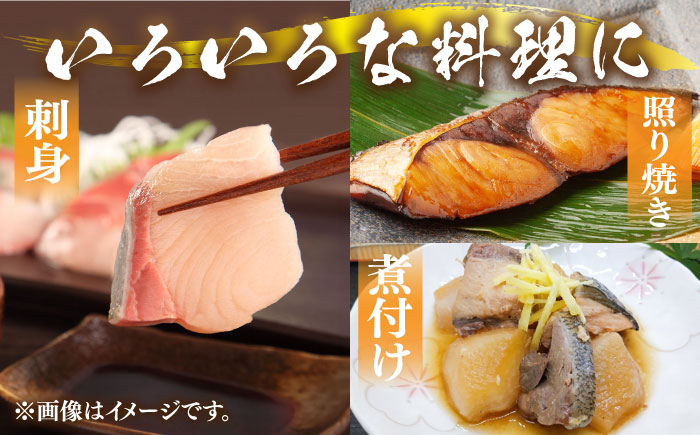 寒ブリ 寒ぶり 海鮮 魚介 海鮮丼 鰤 真空パック 煮つけ 照り焼き 下処理済み