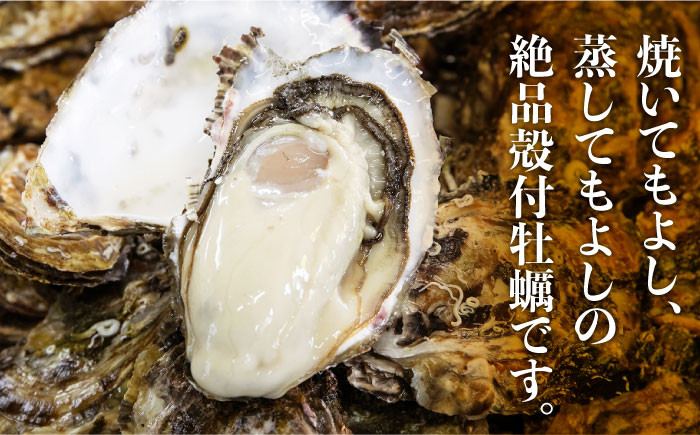 牡蠣 生食 むき身 殻付き かき カキ 生牡蠣 広島牡蠣 オイスター カキフライ 魚介類 貝類 海鮮 広島県産 国産 産地直送