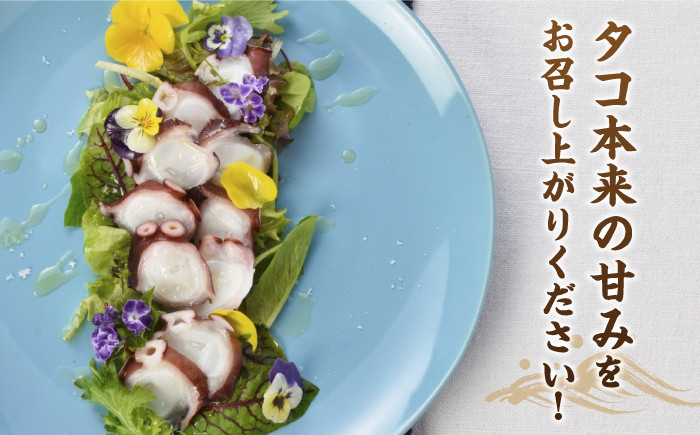 天然 タコ たこ 小分け