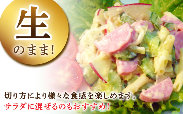 【12回定期便】宮地ハムのロングセラー ボロニアソーセージ 100g×7本 /宮地ハム [UBM013]