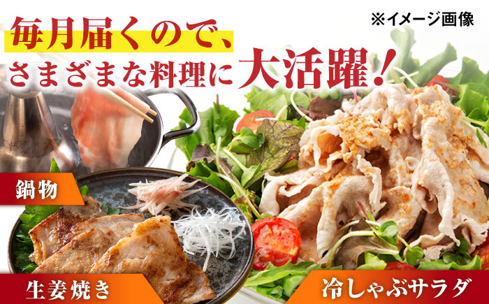 【12回定期便】若楠ポーク スライスセット 1kg（肩ロース 下ロース バラ）/宮地ハム [UBM016]