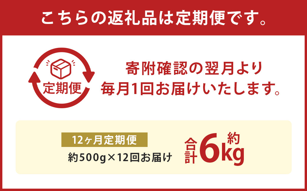 【12か月定期便】 熊本産 馬肉のしゃぶしゃぶ 約6kg(約500g×12か月)