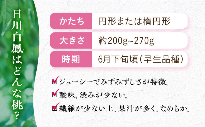 桃 もも 日川白鳳 ひかわはくほう