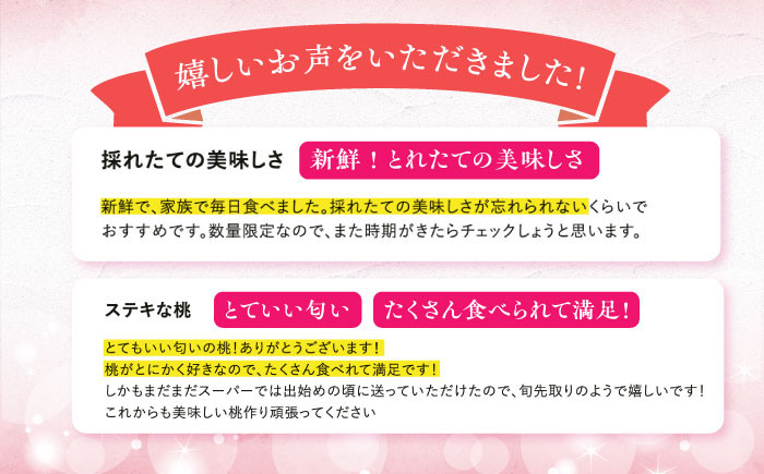 桃 もも 日川白鳳 ひかわはくほう