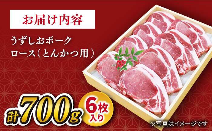 長崎うずしおポーク ロース( とんかつ 用) 700g(6枚) 訳あり