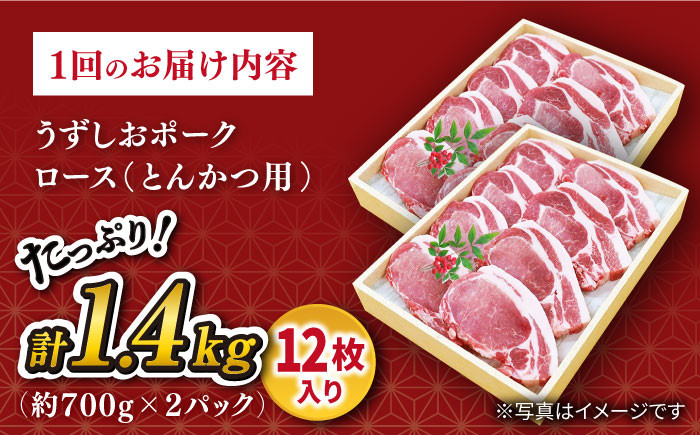 長崎 うずしおポーク ロース(とんかつ用)1.4kg 訳あり