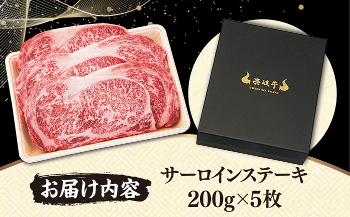 ステーキ 人気 和牛  壱岐牛 希少 柔らかい やわらかい 贈り物   肉 黒毛