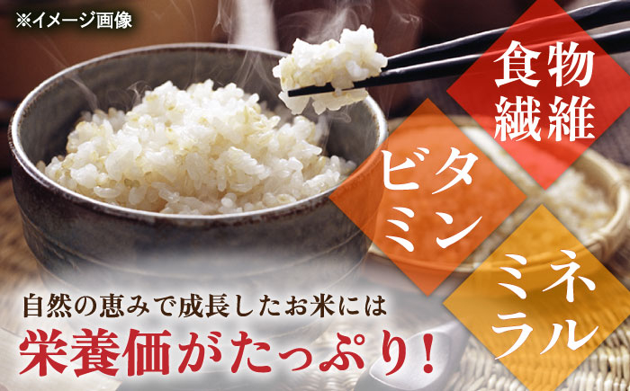 【3回定期便】令和6年産 自然農法で育てた棚田米 ヒノヒカリ 玄米 6kg（3kg×2袋）/永尾 忠則 [UAS011] 棚田玄