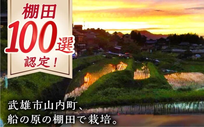 自然農法で育てた特別栽培米 棚田米 ヒノヒカリ 玄米 6kg（3kg×2袋）/永尾 忠則 [UAS006] 棚田玄米