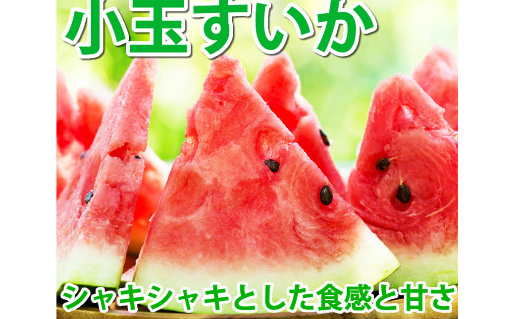 小玉すいか 秀品 2玉 約2～3kg