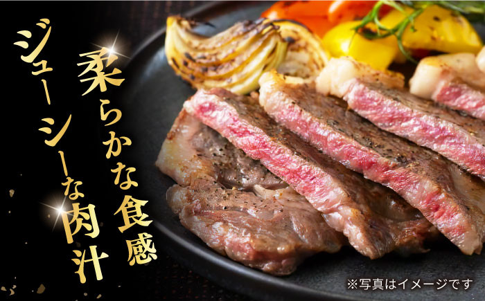 長崎和牛 ロースステーキ（ハーフカット）計500g（4枚）