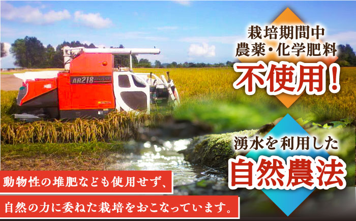 【3回定期便】令和6年産 自然農法で育てた棚田米 ヒノヒカリ 玄米 6kg（3kg×2袋）/永尾 忠則 [UAS011] 棚田玄