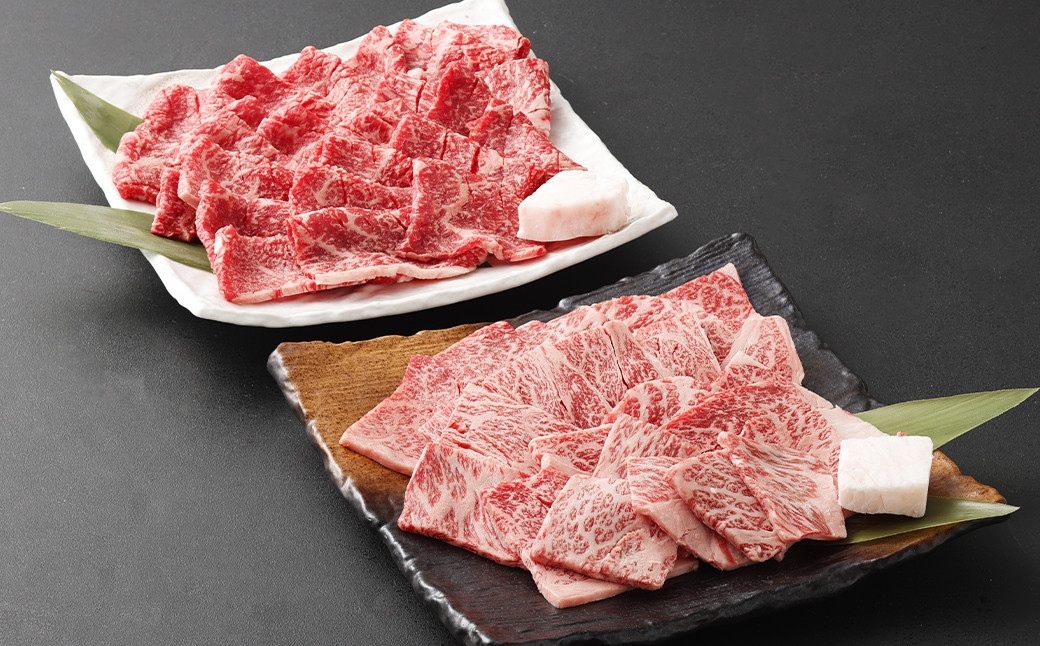 博多和牛 焼肉セット (極上霜降り400g、ヘルシー赤身400g)