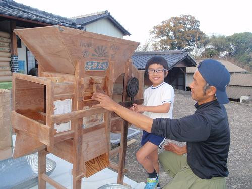 しょうちゃんの棚田米夢しずくは無農薬・化学肥料不使用です