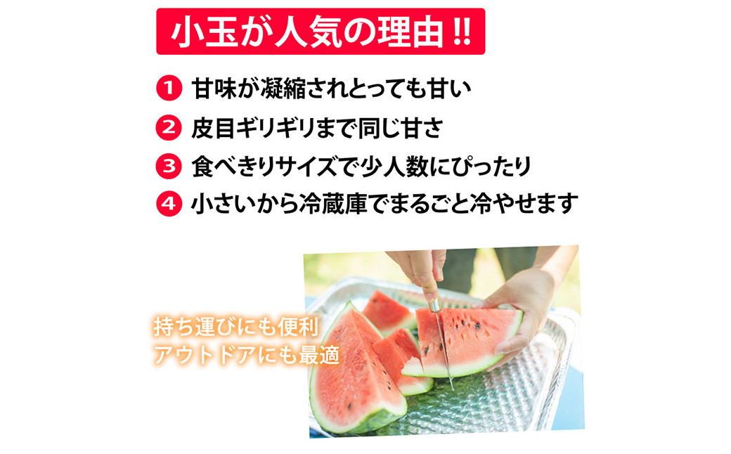小玉すいか 秀品 2玉 約2～3kg
